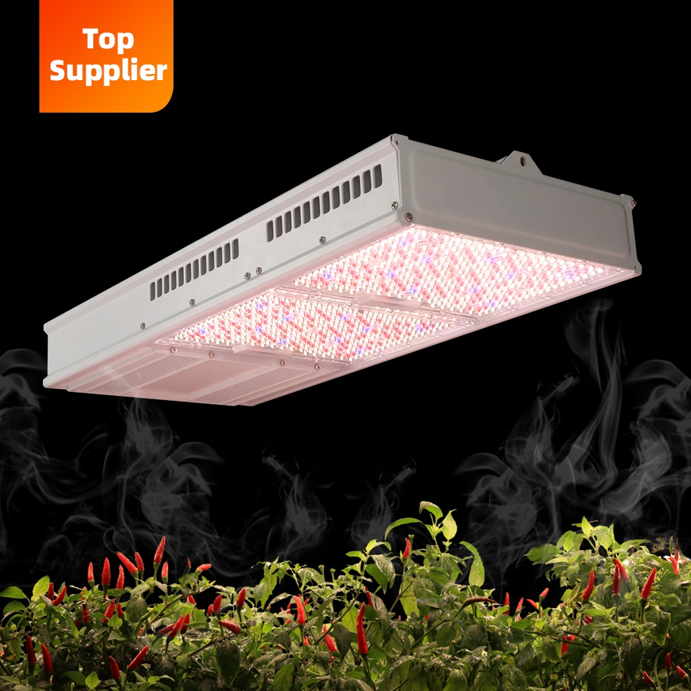 Indoor Plants - مصباح نمو نباتات LED داخلي فعال