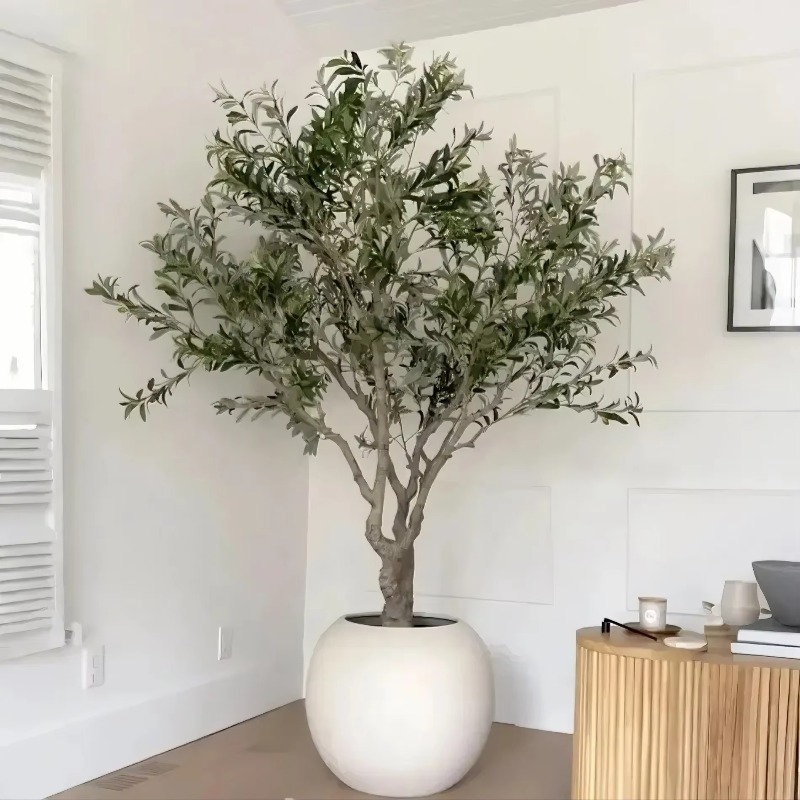 Indoor Plants - تخصيص 90 سنتيمتر 120 سنتيمتر 150