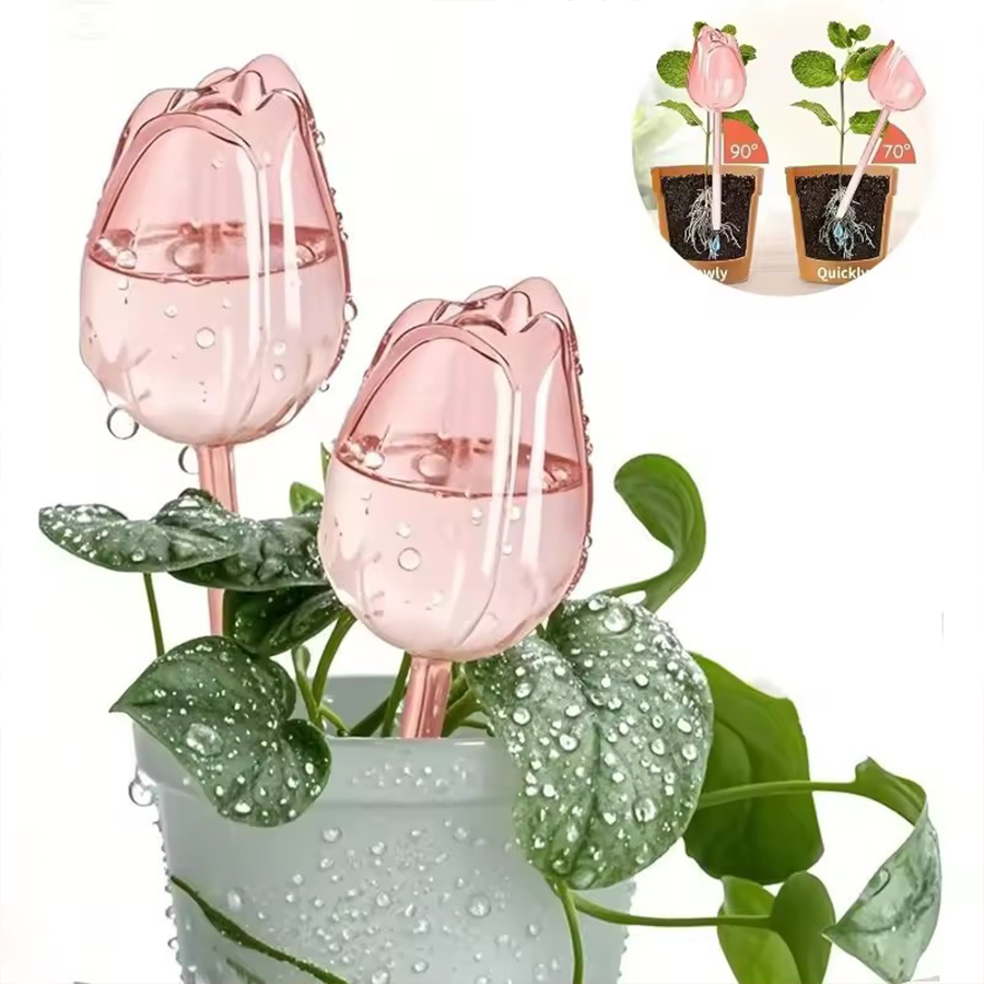 Pothos - مروي ذاتي الشفافية على شكل زهرة
