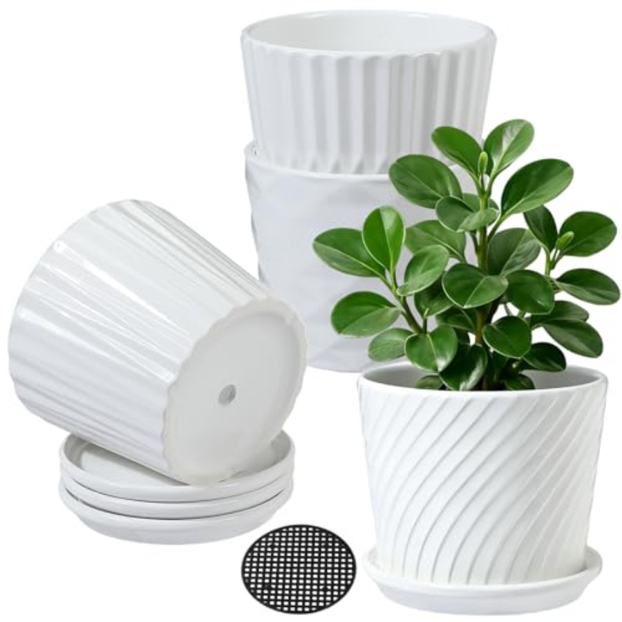 Snake Plant Ceramic - أواني نباتات - أصص سيراميك أسطوانية