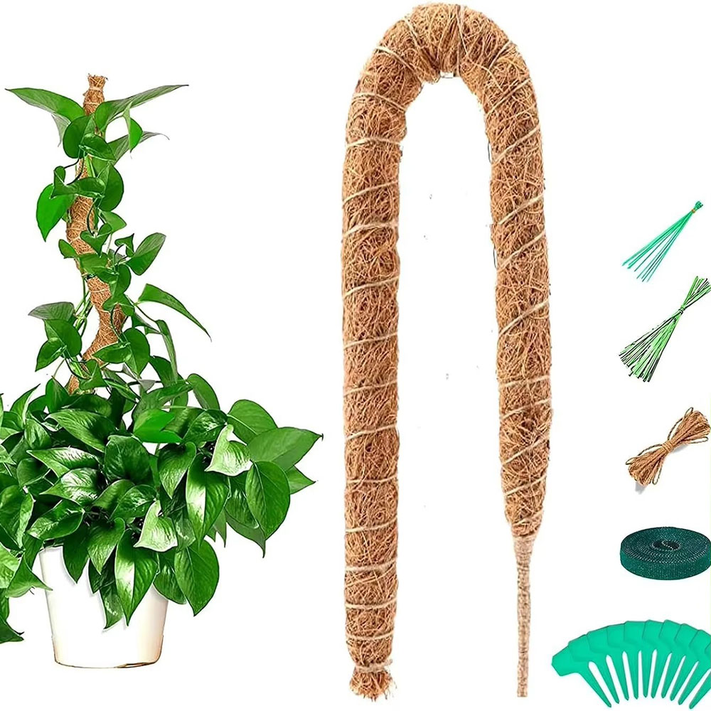 Pothos - عصا نخيل جوز الهند للبستنة، دعامة