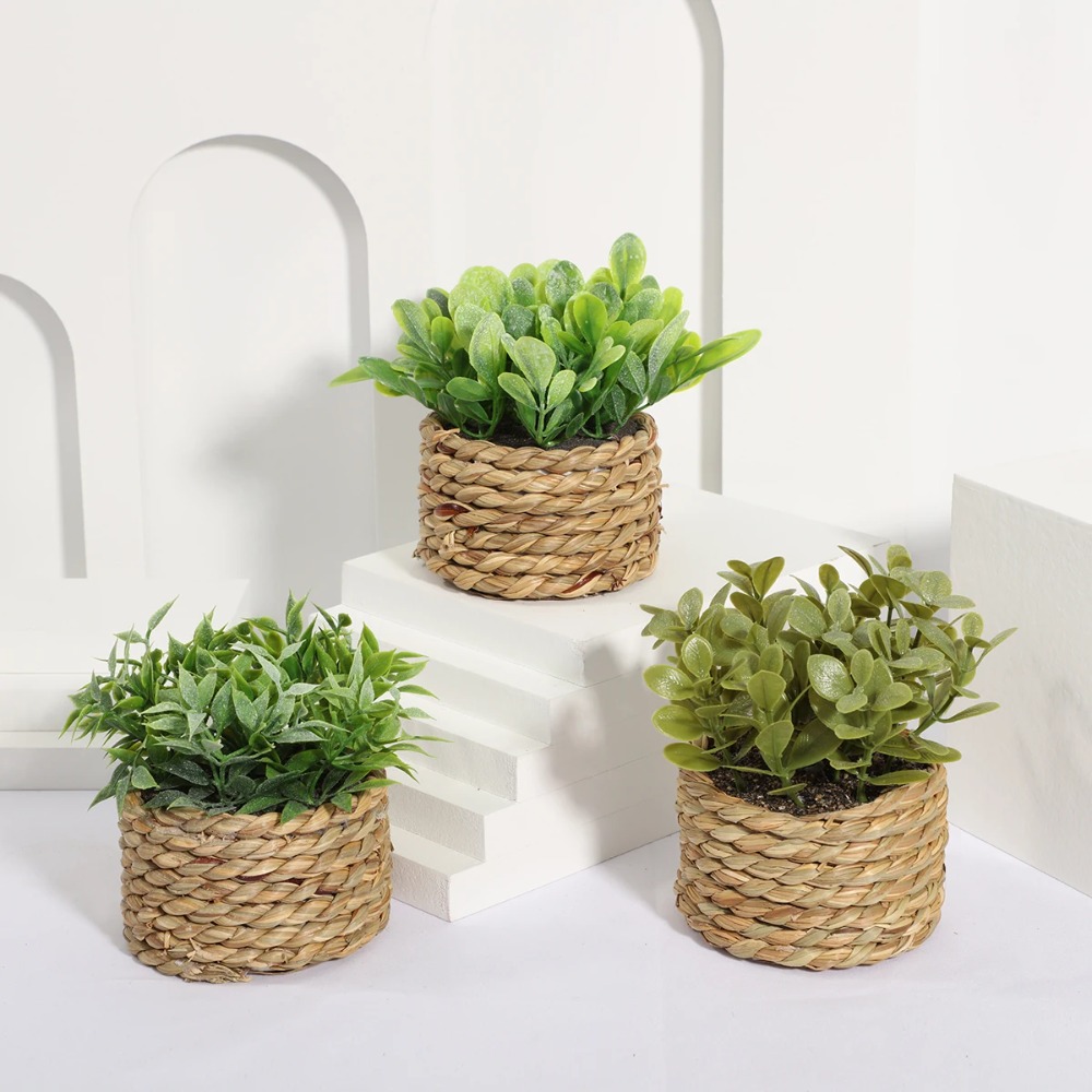 Succulent Set - الأخضر الاصطناعي بوعاء النبات الأوكالبتوس العشب