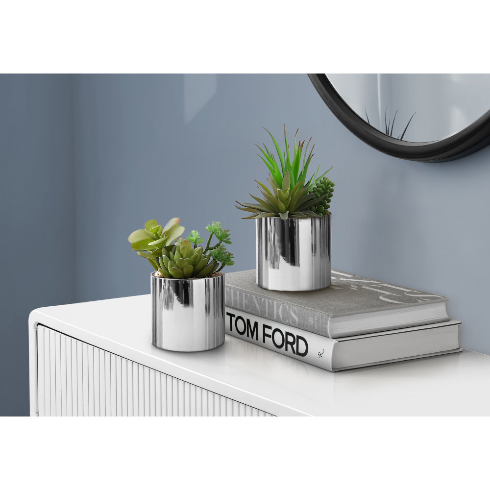 Succulent Set - مجموعة من نباتين صناعيين، نباتات خضراء