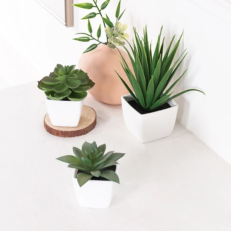 Succulent Set - نبات اصطناعي دائم الخضرة ، مناسب