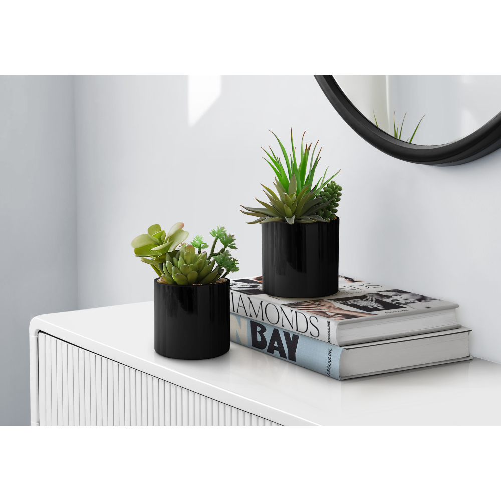 مجموعة من نباتين صناعيين من نو - مراجعة Succulent Set وسعره