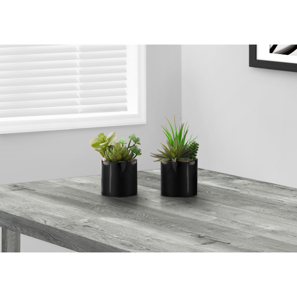 مجموعة من نباتين صناعيين من نو - مراجعة Succulent Set وسعره