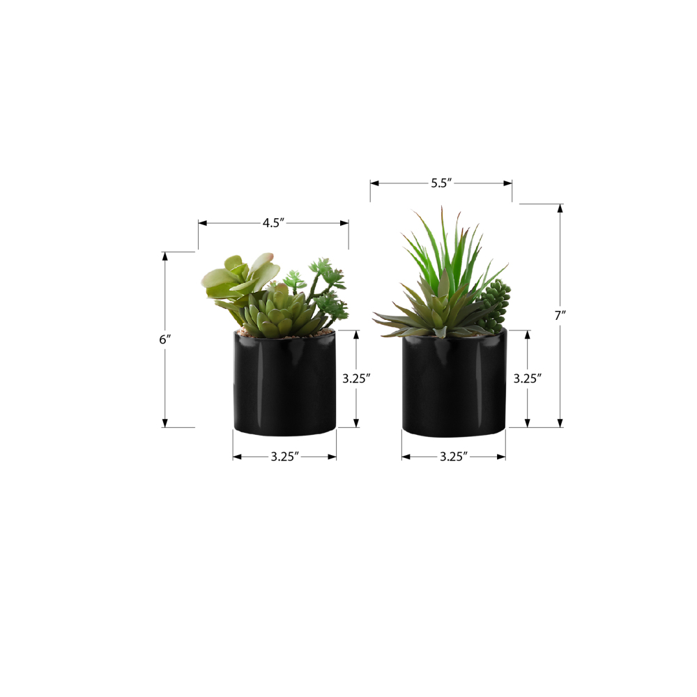 مجموعة من نباتين صناعيين من نو - مراجعة Succulent Set وسعره