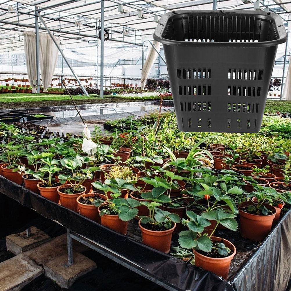 15 قطعة، أوعية زراعة للتحكم في - مراجعة Indoor Plants وسعره
