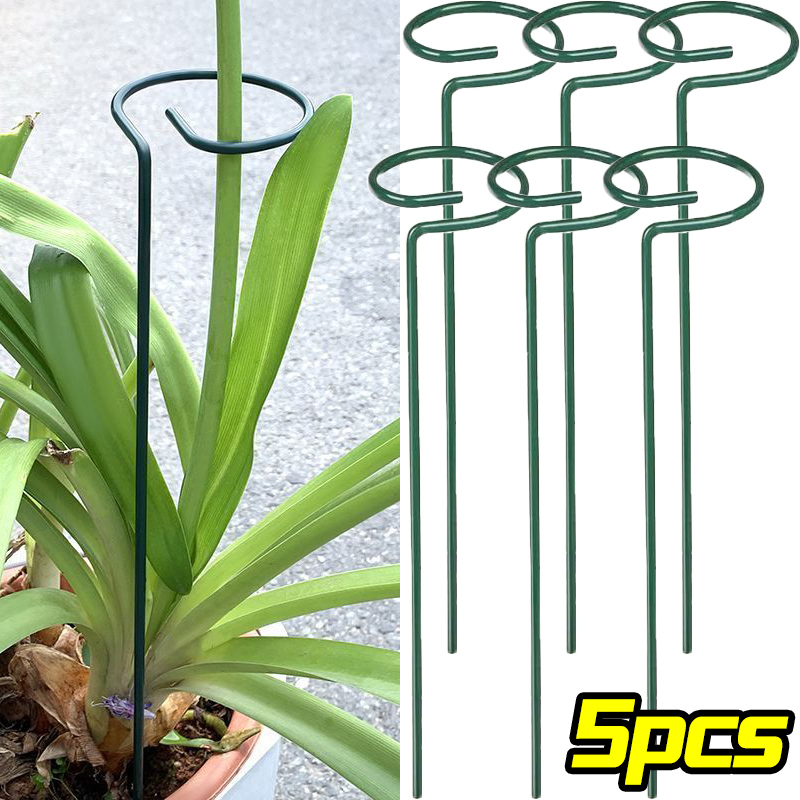 1/10 قطعة حديقة دعم حصة حلقة م - مراجعة Plant Support Stake وسعره