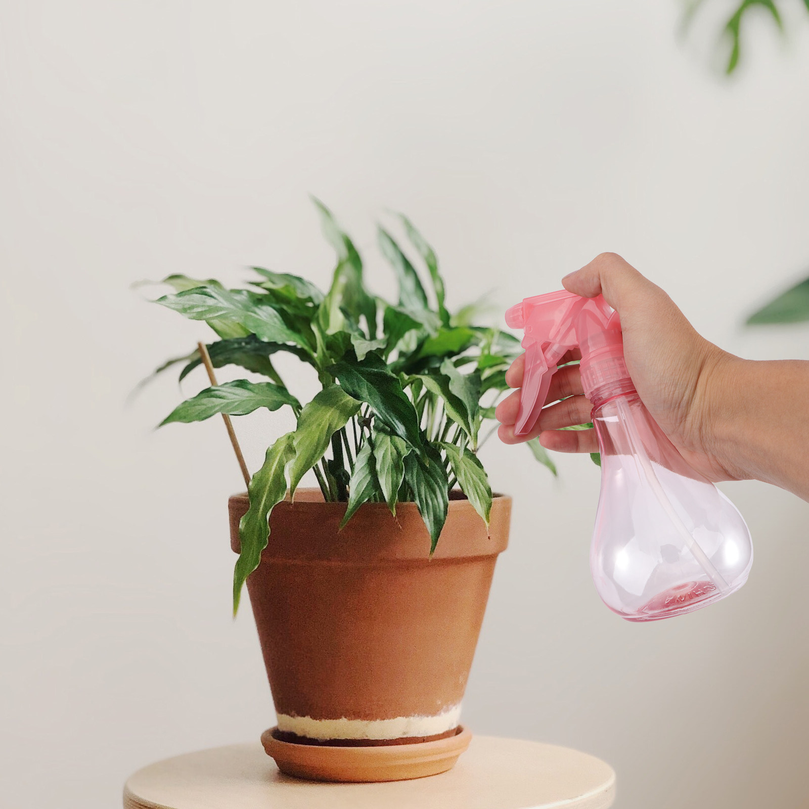 مجموعة أدوات زراعة النباتات ال - مراجعة Succulent Set وسعره
