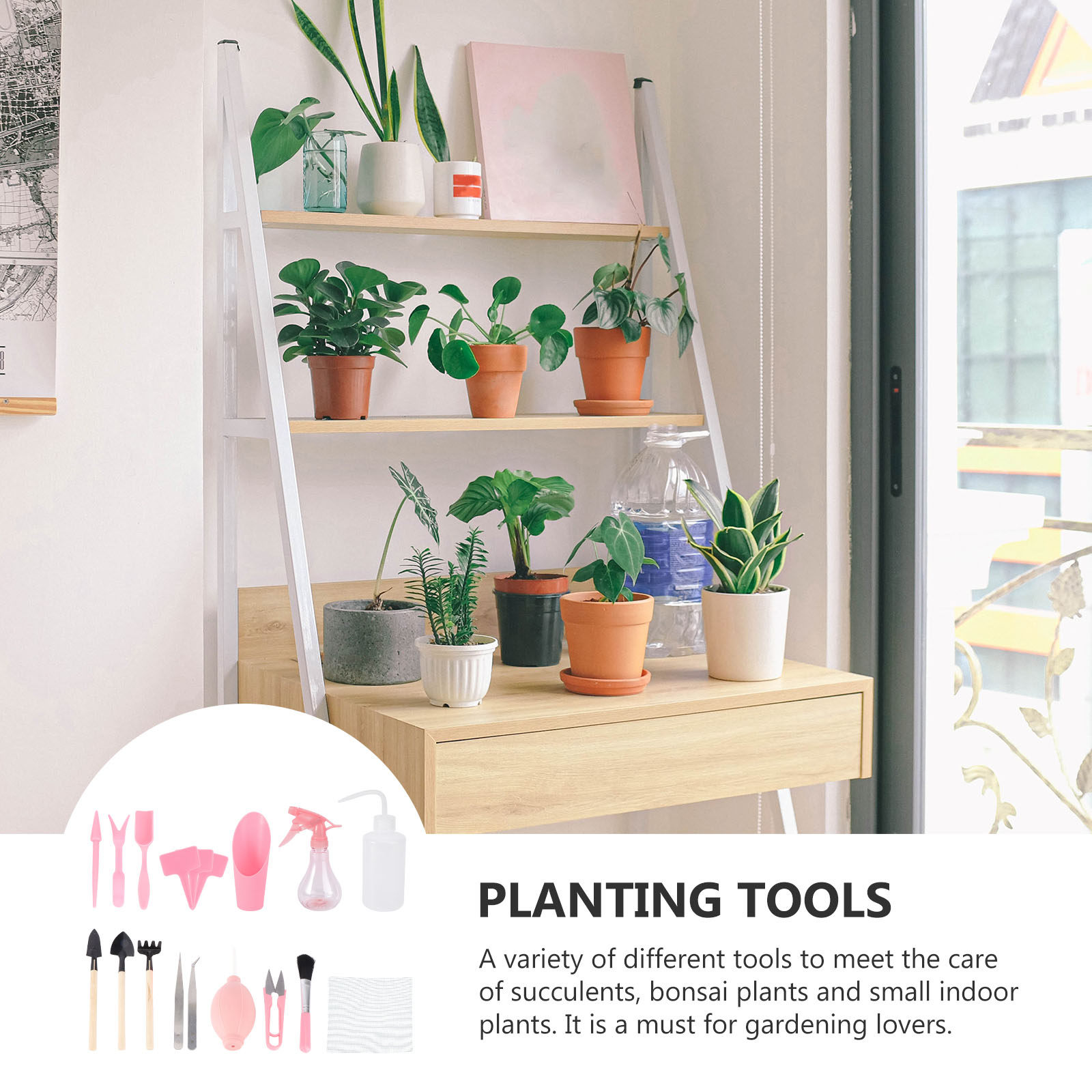 مجموعة أدوات زراعة النباتات ال - مراجعة Succulent Set وسعره