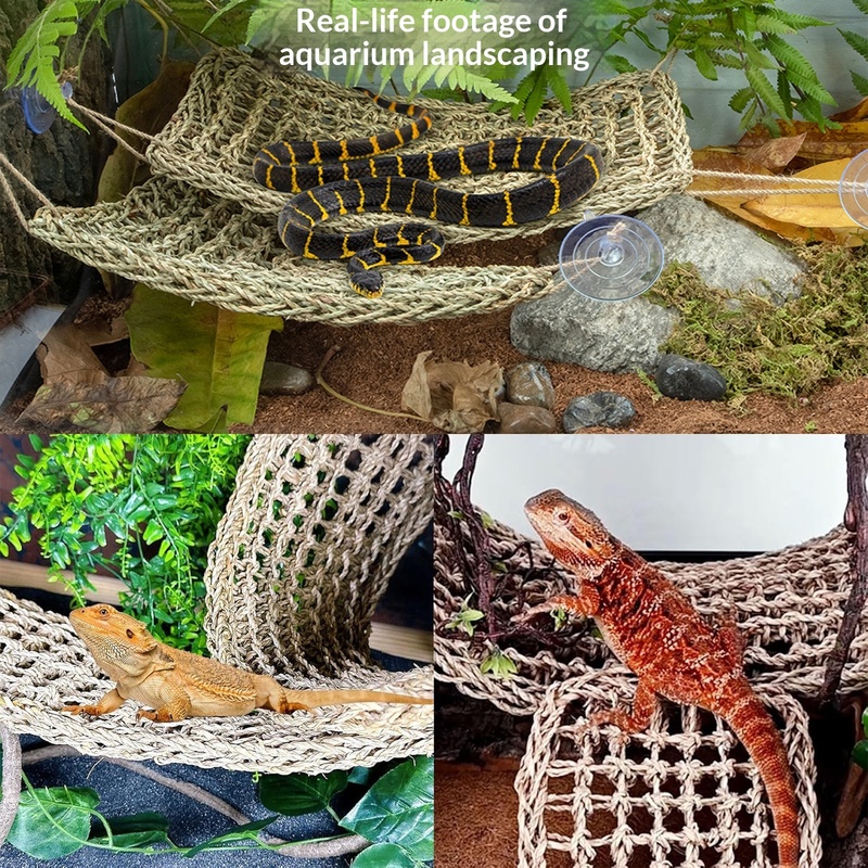 زينة مرنة على شكل كرمة من الغا - مراجعة Snake Plant وسعره