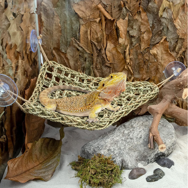 زينة مرنة على شكل كرمة من الغا - مراجعة Snake Plant وسعره