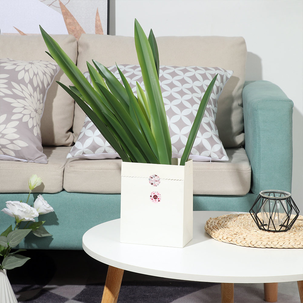 ورقة السحلية الصناعية عالية ال - مراجعة Snake Plant وسعره