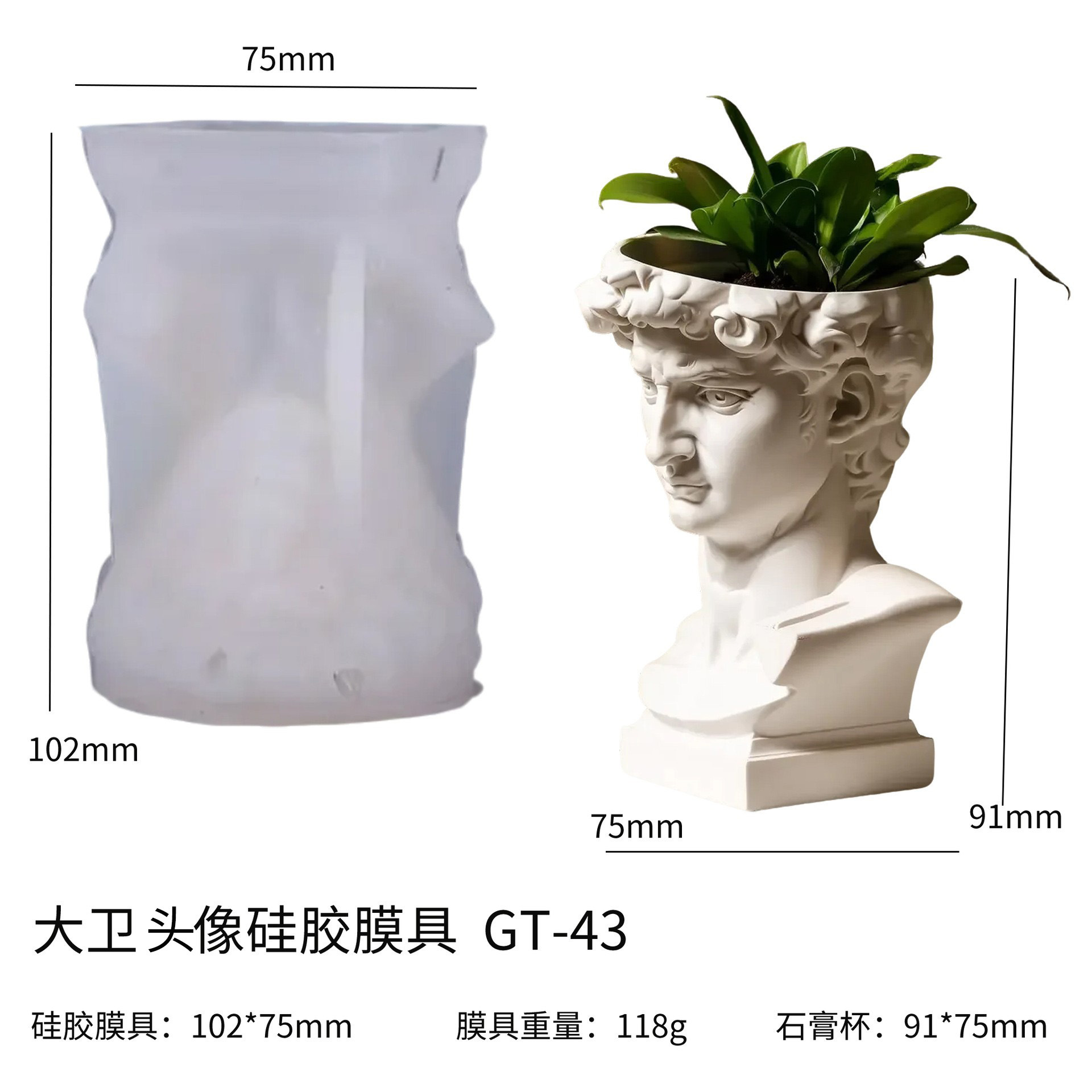 قالب زارع سيليكون برأس ديفيد،  - مراجعة Succulent Set وسعره