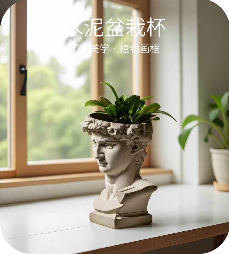 قالب زارع سيليكون برأس ديفيد،  - مراجعة Succulent Set وسعره