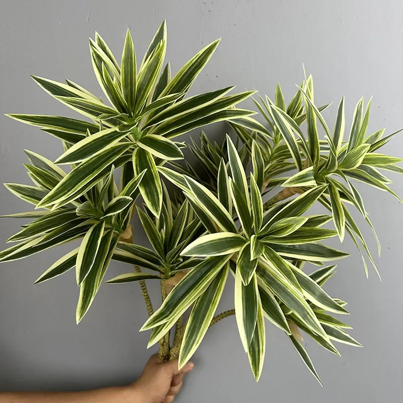 نباتات خضراء اصطناعية زنبق است - مراجعة Snake Plant وسعره
