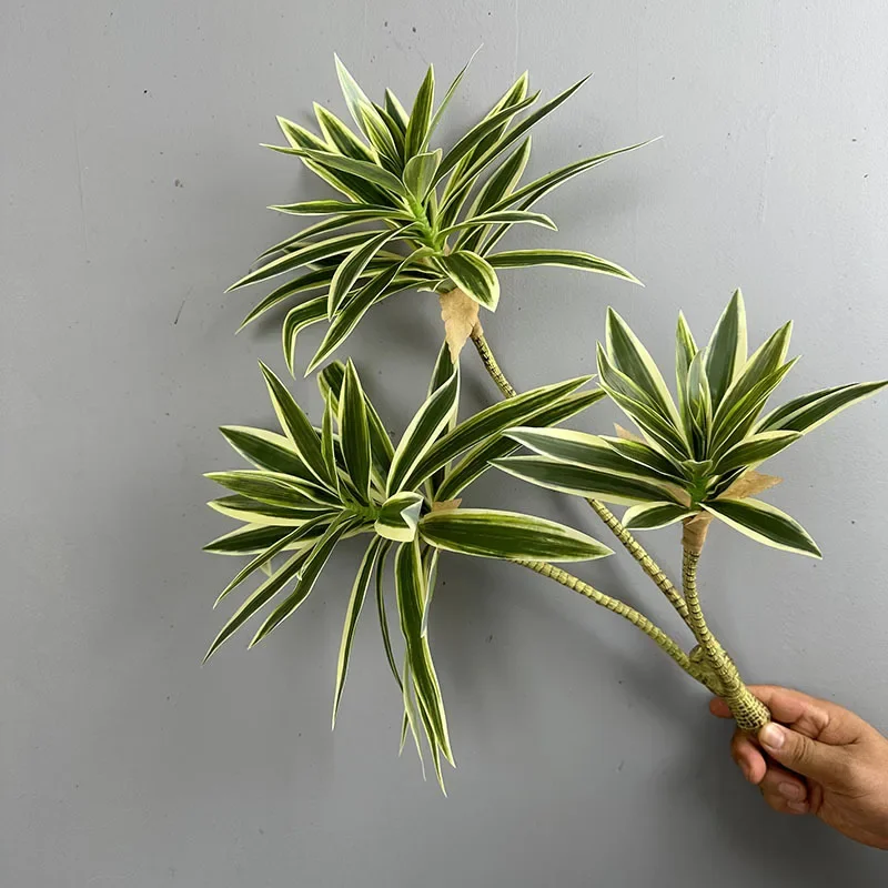 نباتات خضراء اصطناعية زنبق است - مراجعة Snake Plant وسعره