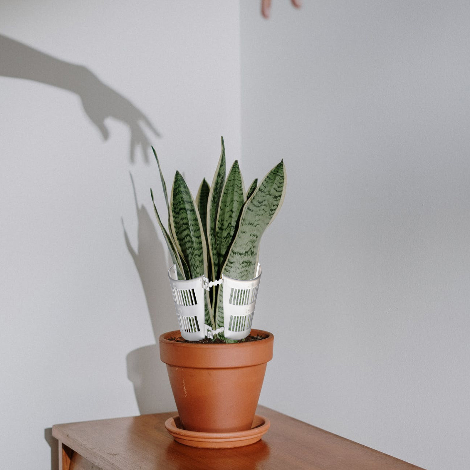 10 قطع من أوعية زراعة النباتات - مراجعة Plant Pot وسعره