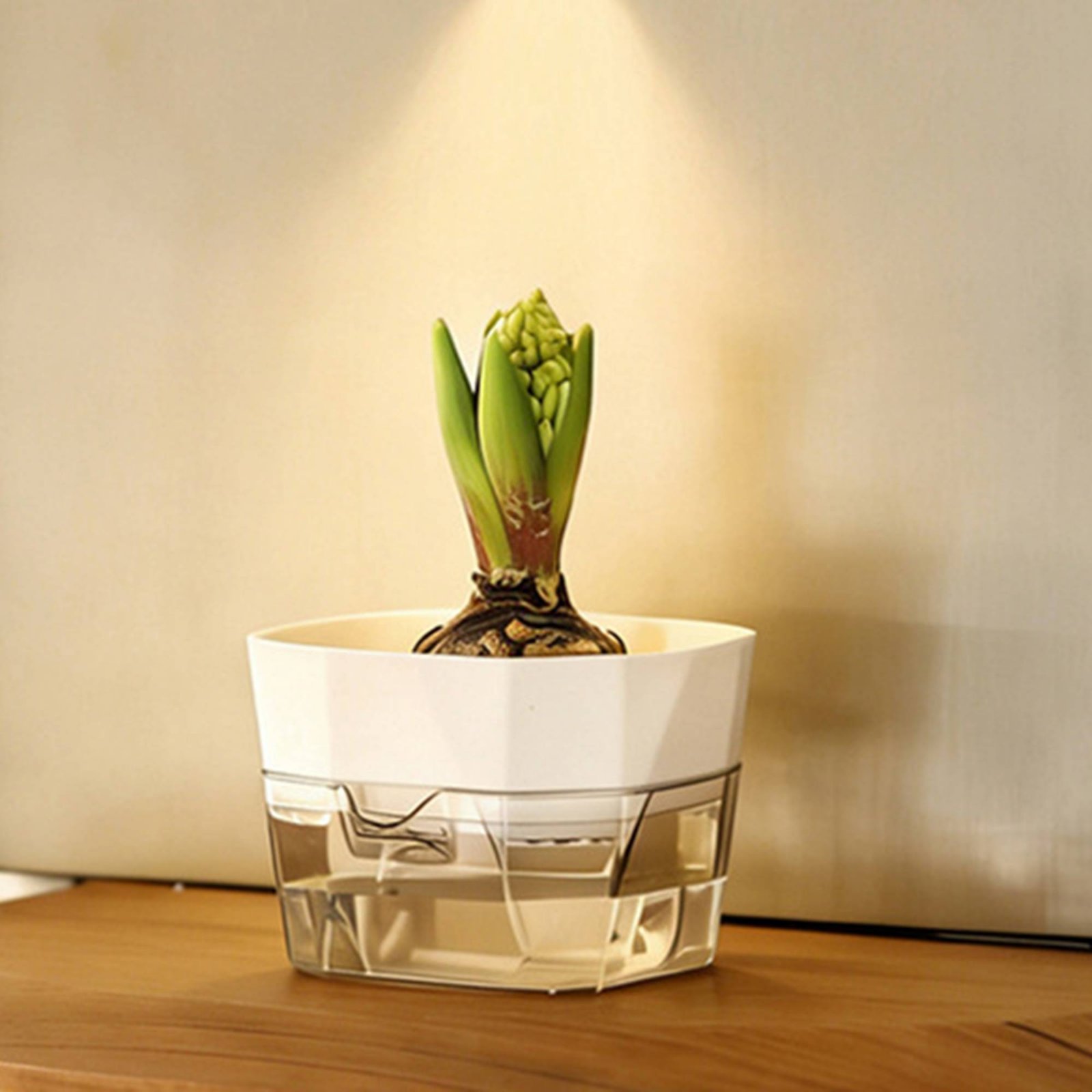 مزهرية نباتات مائية بتصميم من  - مراجعة Plant Pot وسعره