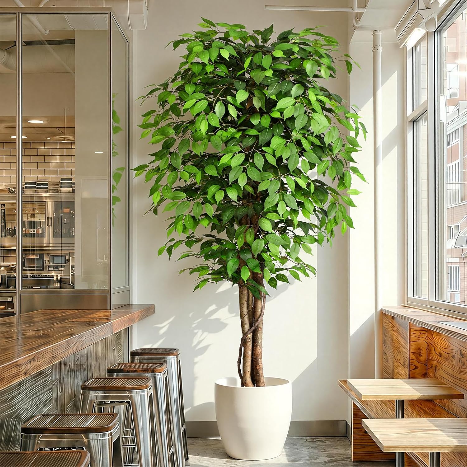 شجرة التين الاصطناعية الواقعية - مراجعة Fiddle Leaf Fig وسعره