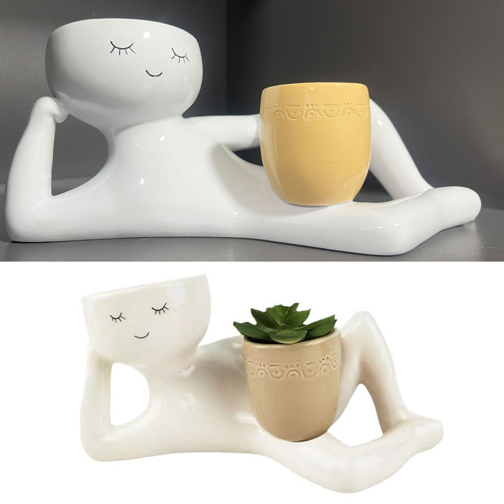 وعاء عصاري إبداعي من الراتنج ا - مراجعة Succulent Set وسعره