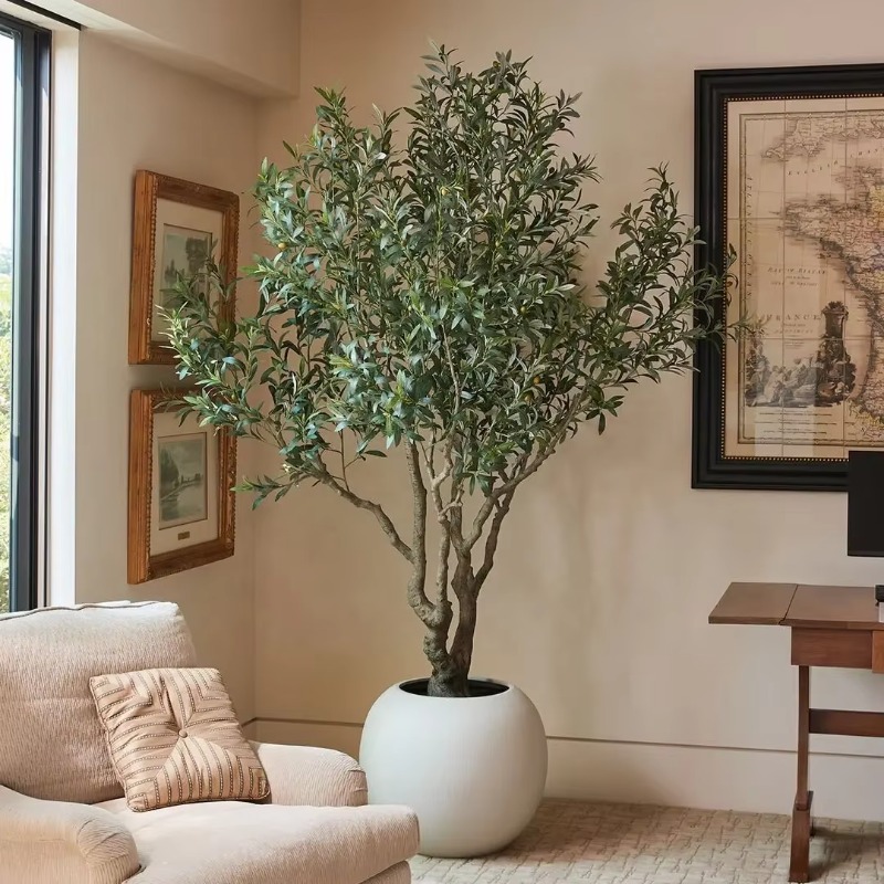 تخصيص 90 سنتيمتر 120 سنتيمتر 1 - مراجعة Indoor Plants وسعره