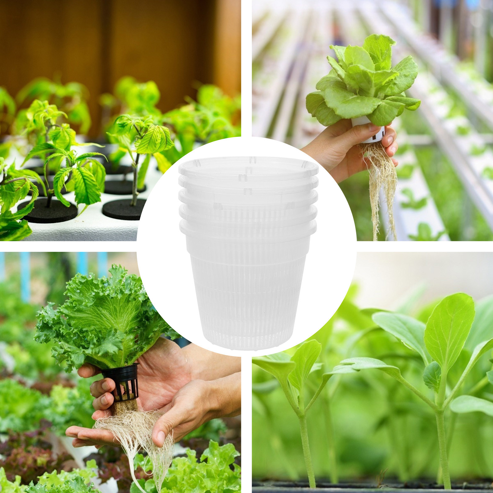 5 قطع من أوعية الزراعة الشبكية - مراجعة Plant Pot وسعره