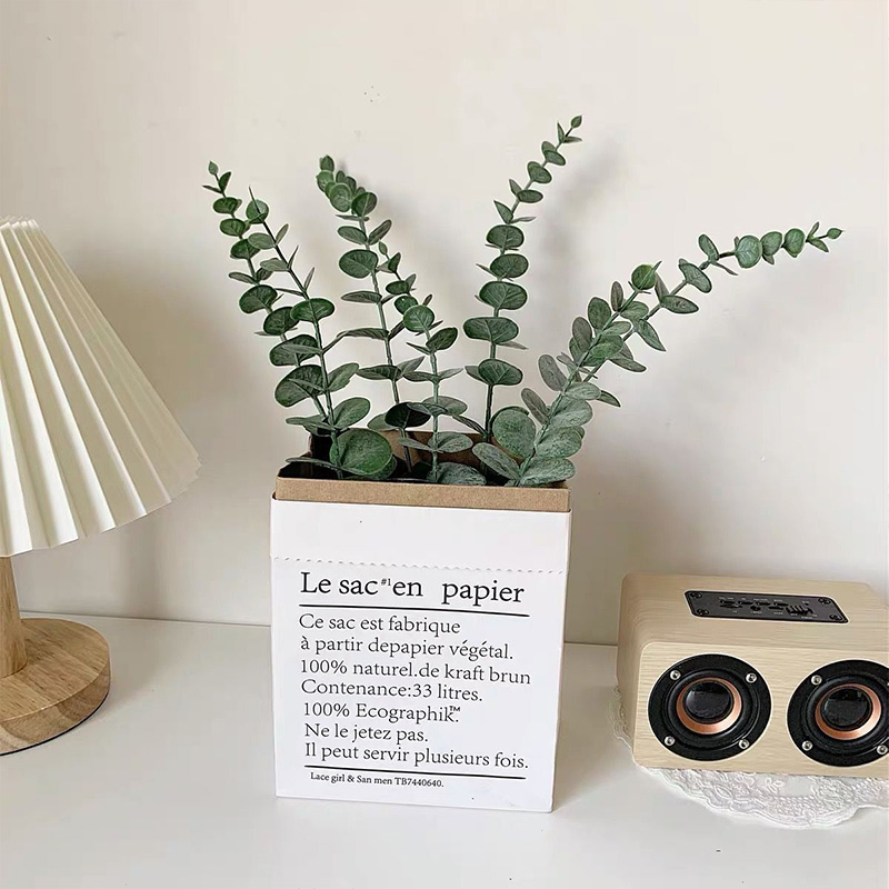 20 قطعة سيقان الأوكالبتوس الاص - مراجعة Fiddle Leaf Fig وسعره