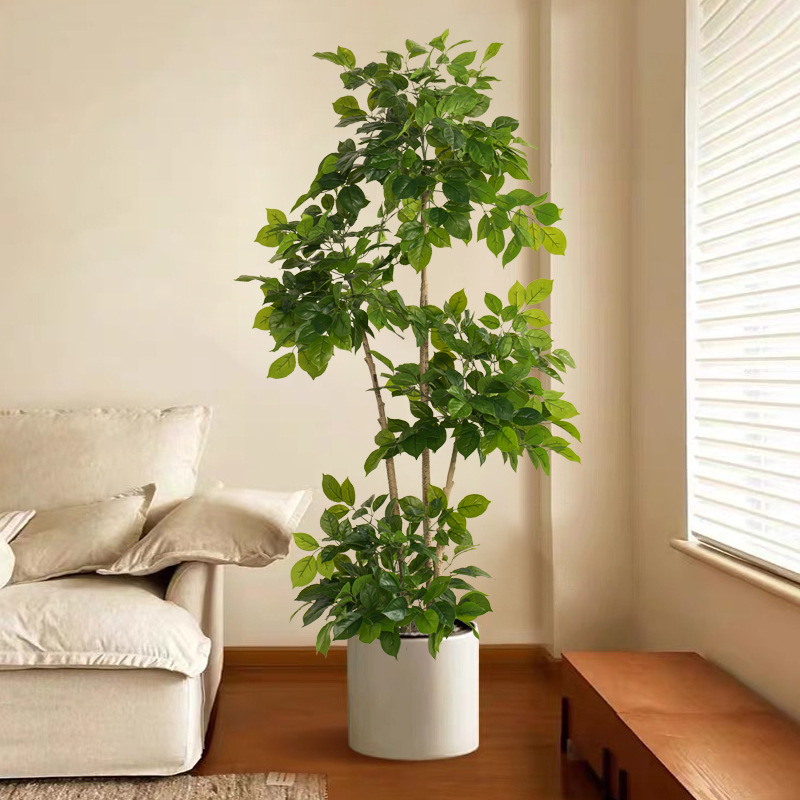 2-78in نباتات وهمية كبيرة الاص - مراجعة Fiddle Leaf Fig وسعره