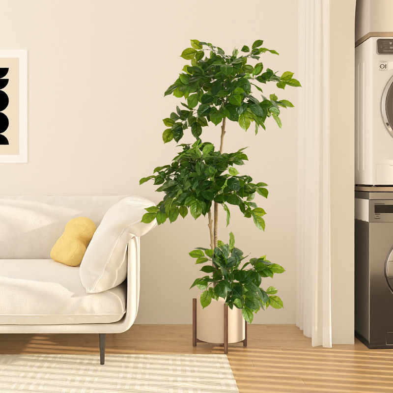 2-78in نباتات وهمية كبيرة الاص - مراجعة Fiddle Leaf Fig وسعره