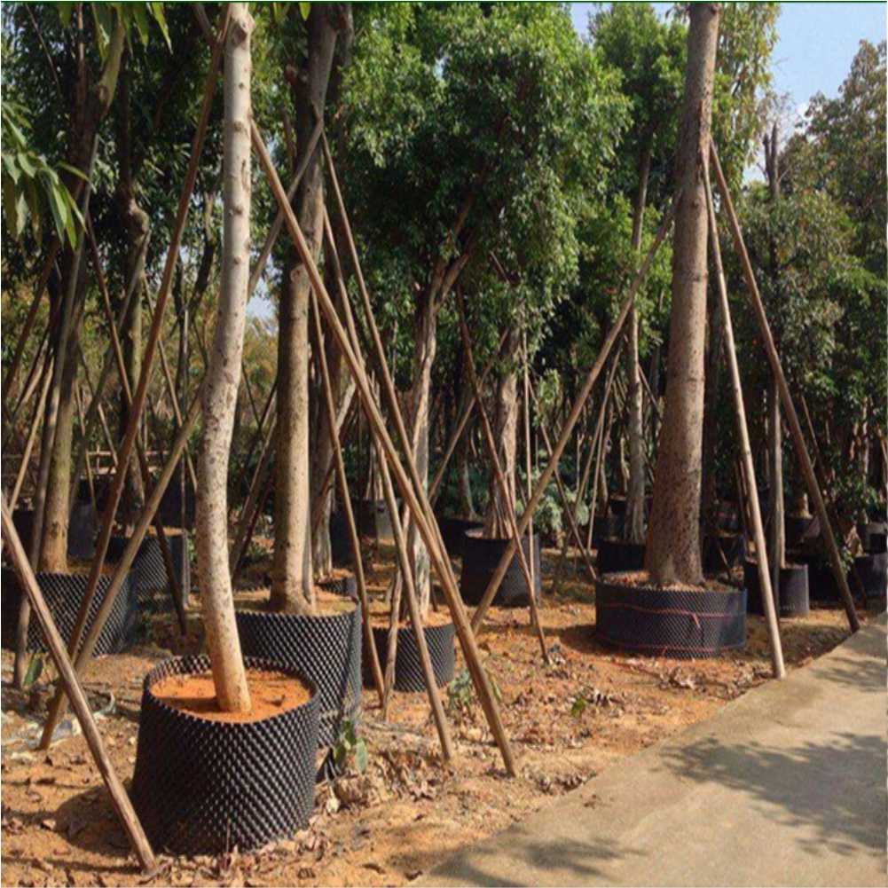 أداة زراعة وتحويل نباتات البون - مراجعة Plant Pot وسعره