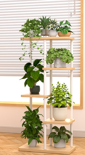 رف متعدد الطبقات من المعدن وال - مراجعة Plant Pot وسعره