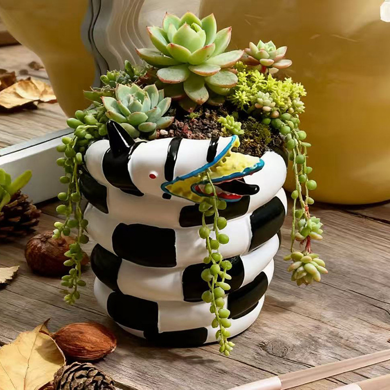قطعة واحدة من وعاء الزهور المص - مراجعة Snake Plant Ceramic وسعره