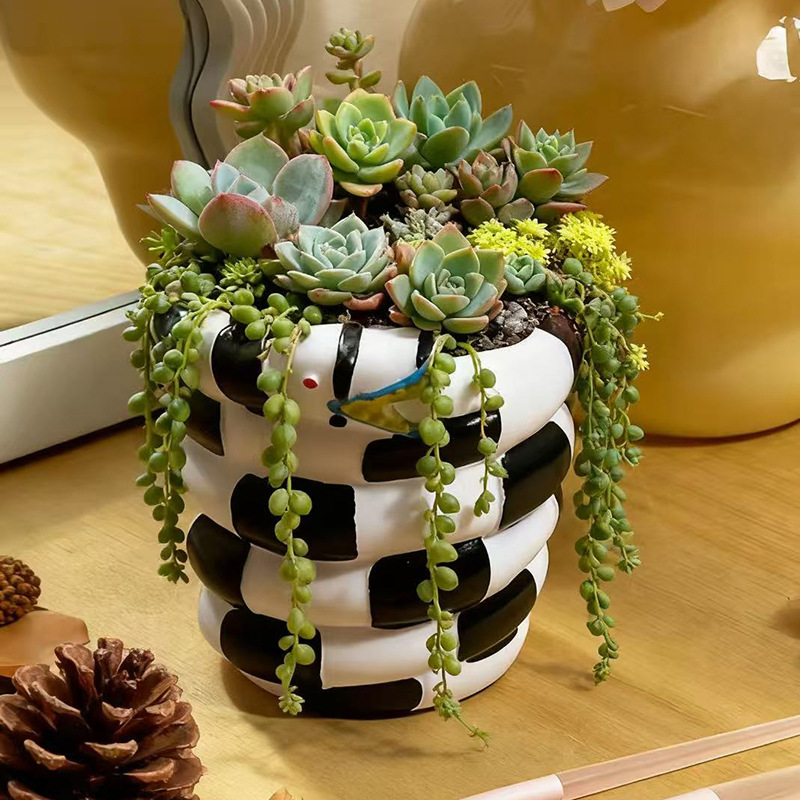 قطعة واحدة من وعاء الزهور المص - مراجعة Snake Plant Ceramic وسعره