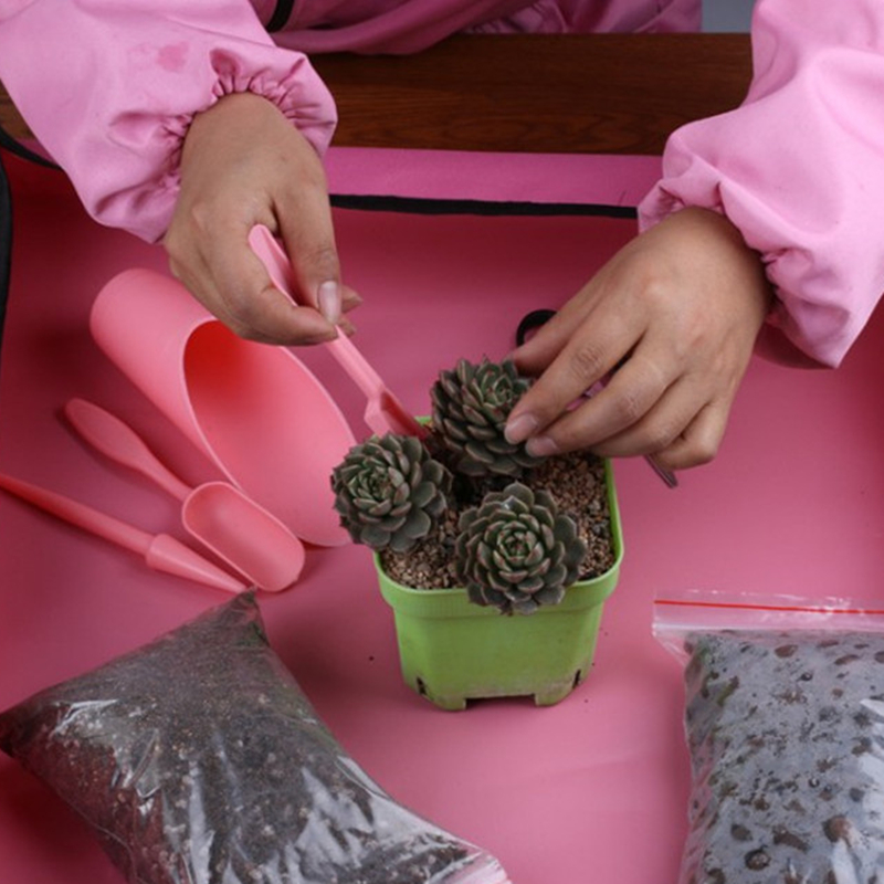 4 قطعة/المجموعة حديقة زارع عدة - مراجعة Succulent Set وسعره