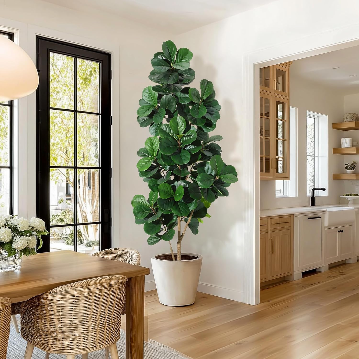 4-7 أقدام كمان ورقة شجرة التين - مراجعة Fiddle Leaf Fig وسعره