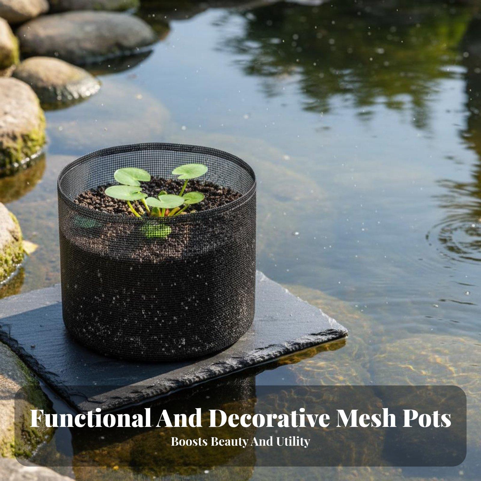 أوعية زراعة زنابق الماء من 4 ق - مراجعة Plant Pot وسعره