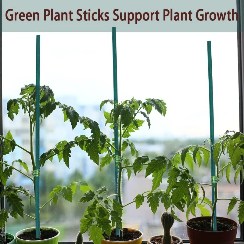 أعواد دعم النباتات، عناقيد الخ - مراجعة Plant Support Stake وسعره