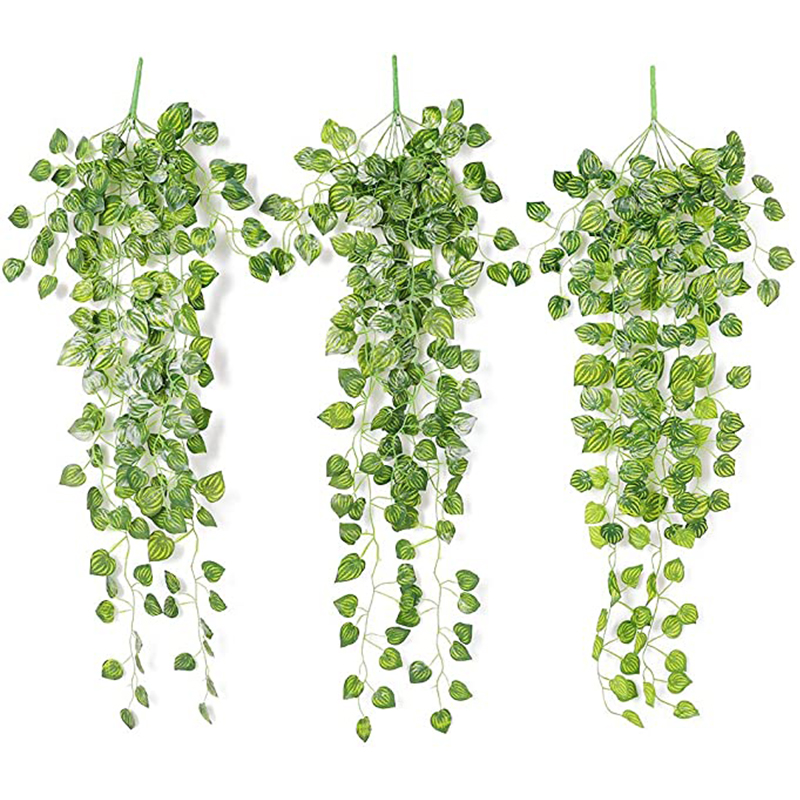 نباتات صناعية معلقة من الروطان - مراجعة Succulent Set وسعره