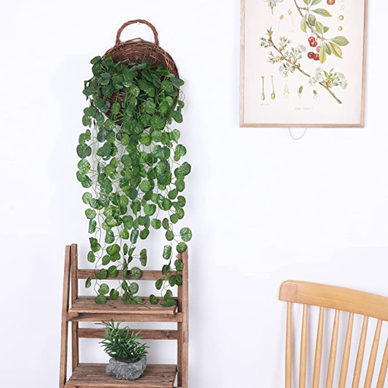 نباتات صناعية معلقة من الروطان - مراجعة Succulent Set وسعره
