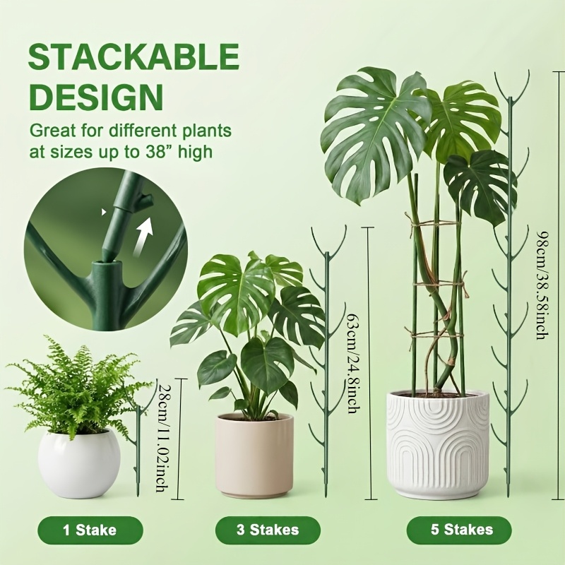 دعامات نبات المونستيرا: 5 دعام - مراجعة Plant Support Stake وسعره