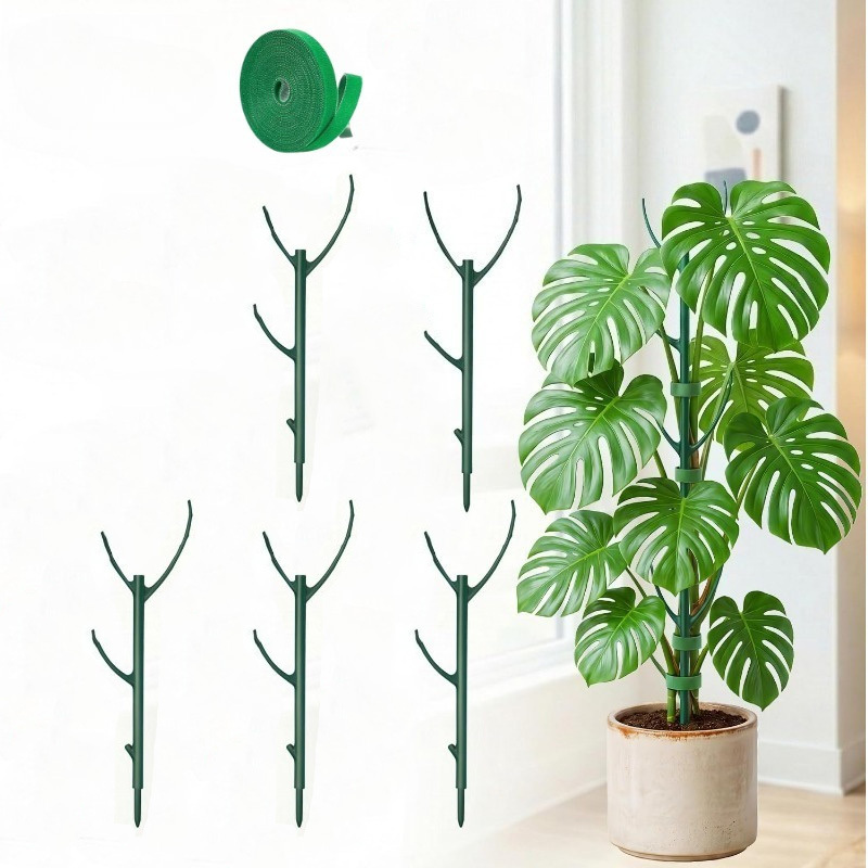 دعامات نبات المونستيرا: 5 دعام - مراجعة Plant Support Stake وسعره