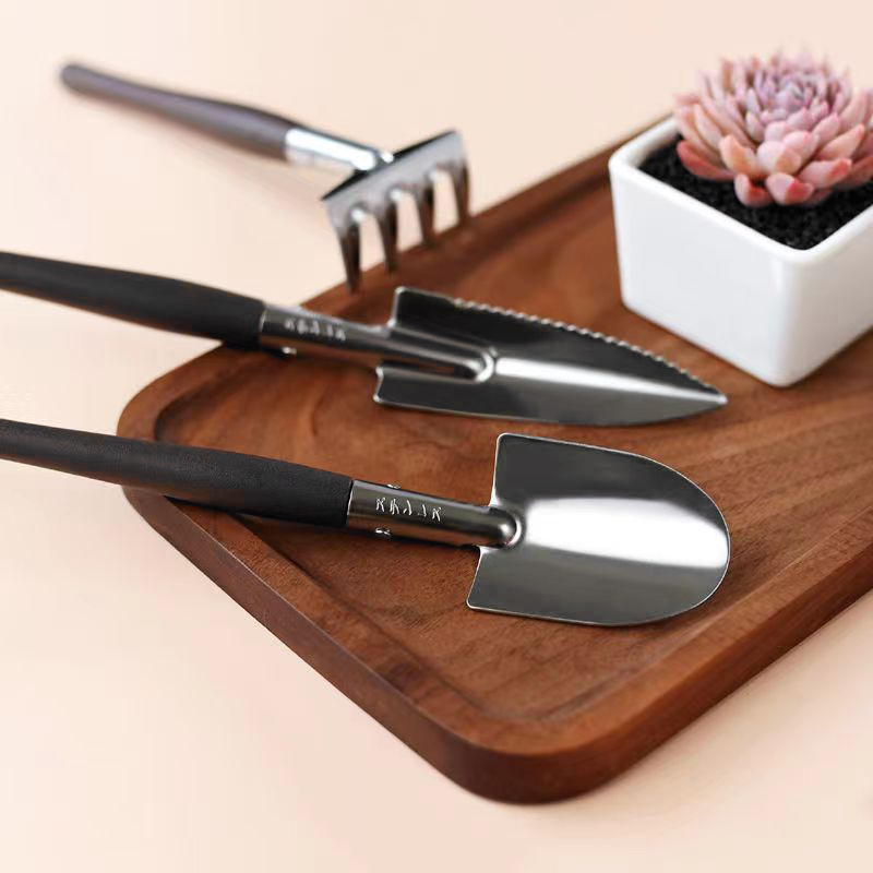 طقم أدوات حدائق من 3 قطع، مجرف - مراجعة Succulent Set وسعره