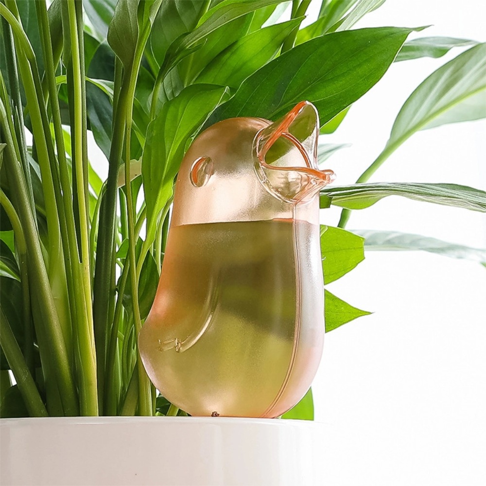 جهاز سقي النباتات على شكل طائر - مراجعة Pothos وسعره