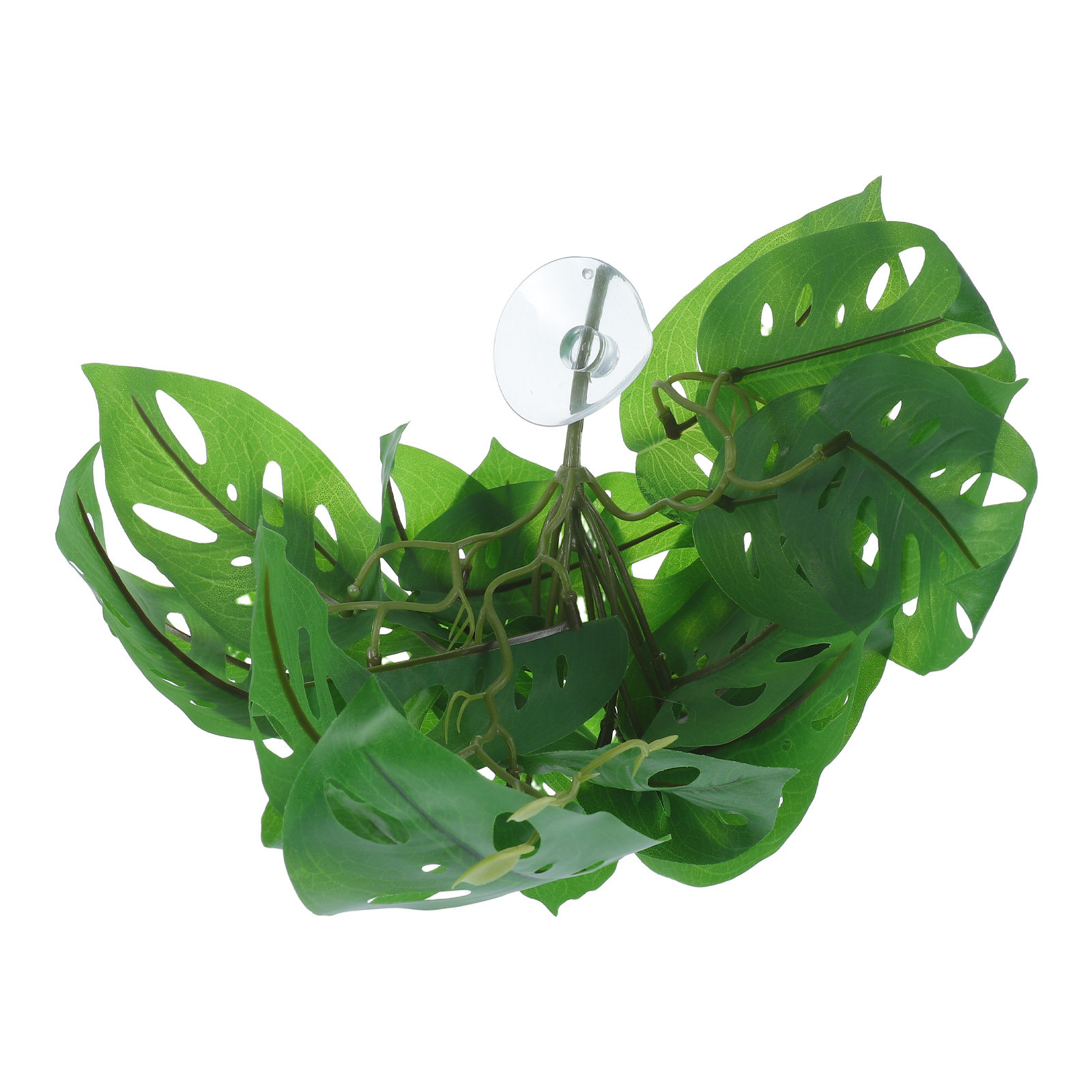 ديكورات حيوانات الزواحف: نباتا - مراجعة Snake Plant وسعره