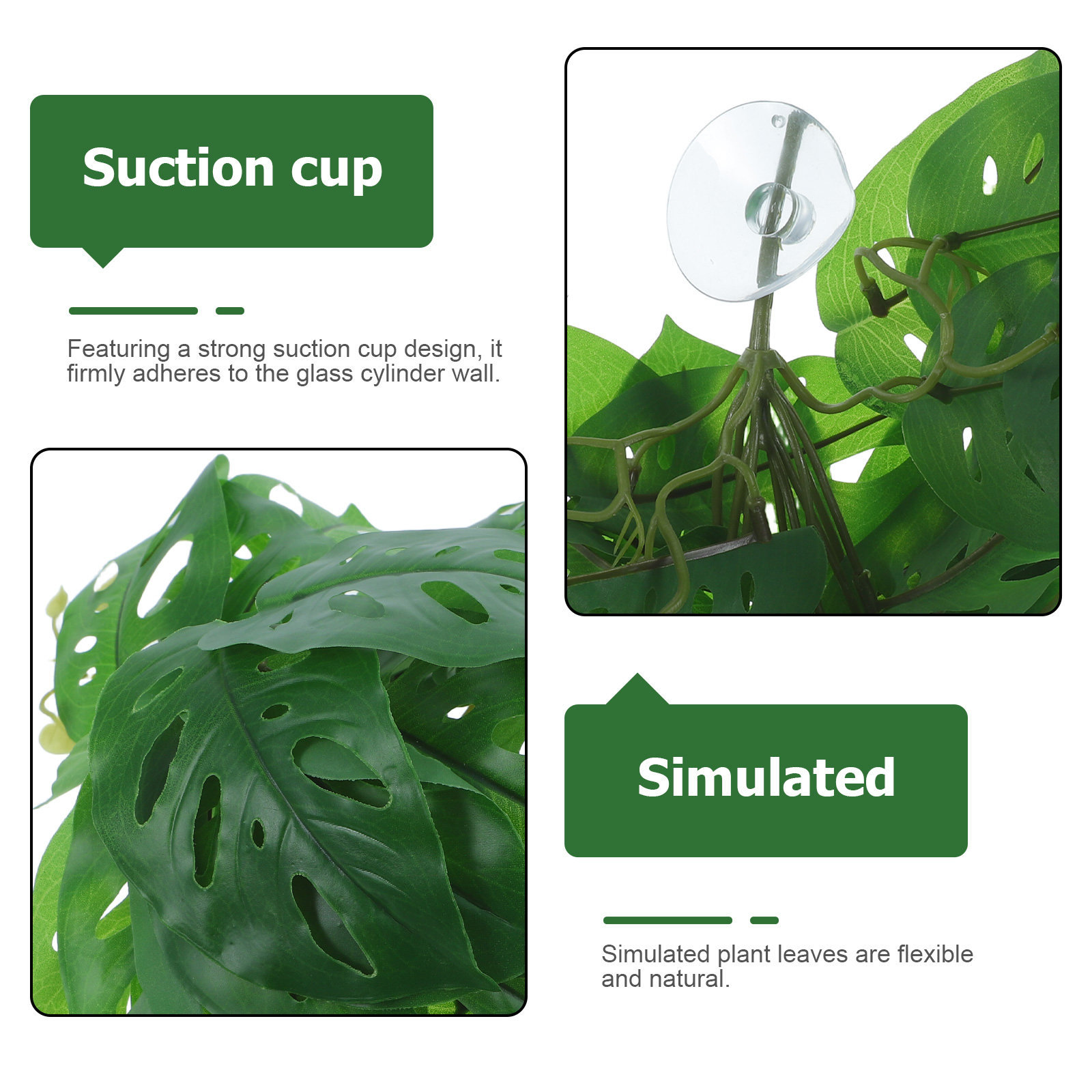 ديكورات حيوانات الزواحف: نباتا - مراجعة Snake Plant وسعره