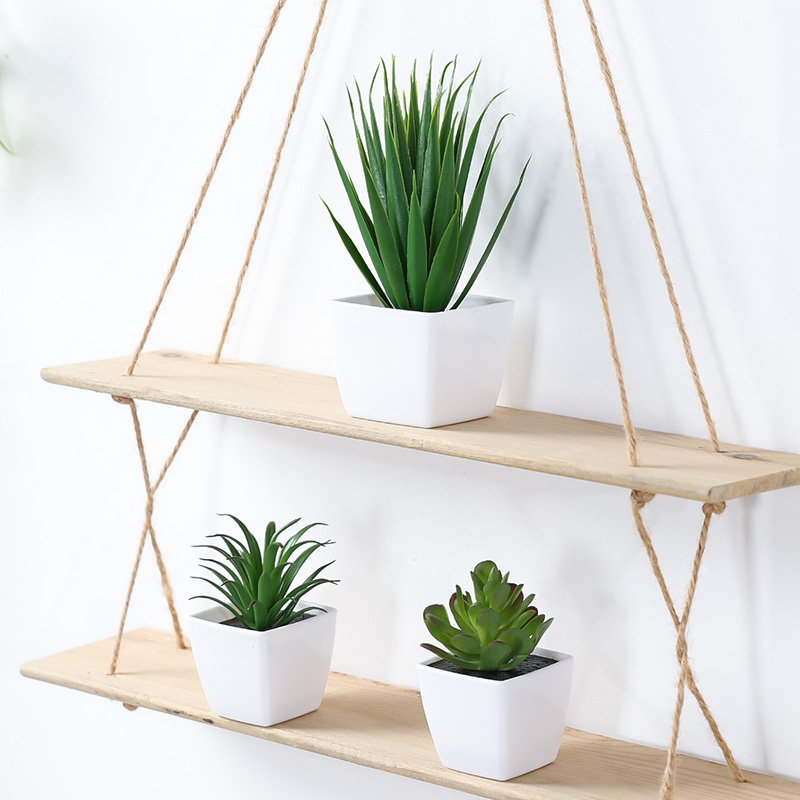 (مجموعة من 3 قطع) نباتات صغيرة - مراجعة Succulent Set وسعره