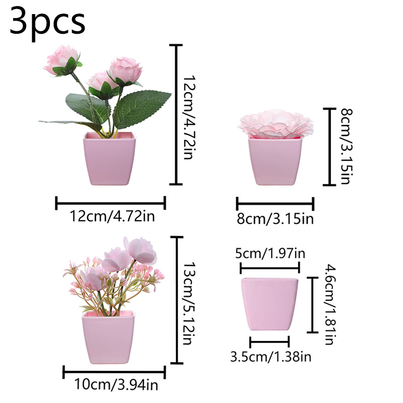 (مجموعة من 3 قطع) نباتات صغيرة - مراجعة Succulent Set وسعره