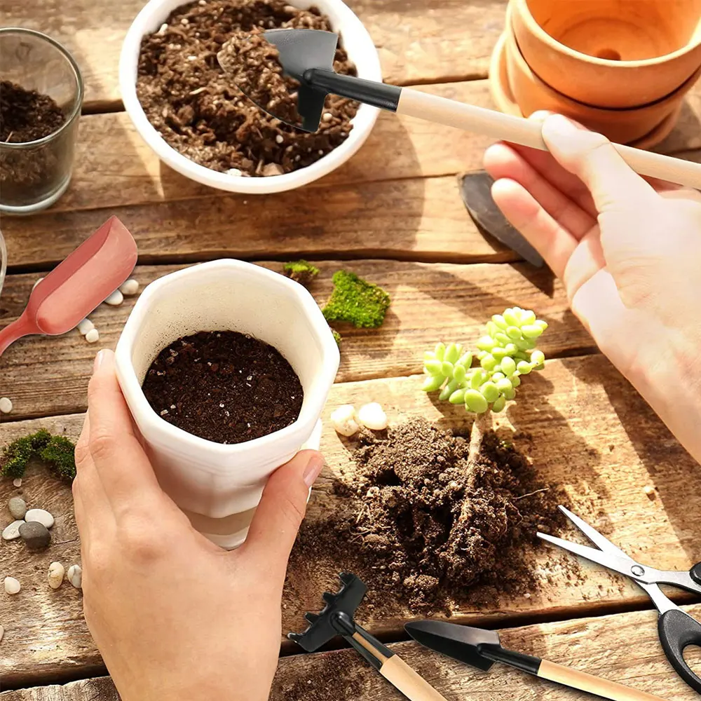 مجموعة أدوات النباتات العصارية - مراجعة Succulent Set وسعره